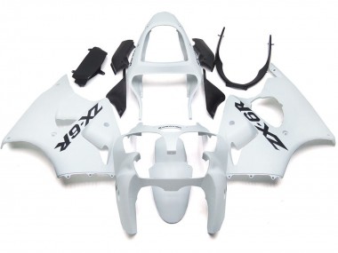 2000-2002 Plain Gloss With Kawasaki ZX6R Fairings for Sale