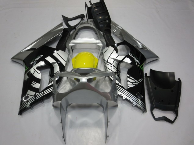 2003-2004 Custom Special Kawasaki ZX6R Fairings for Sale 2003-2004 Custom Special Kawasaki ZX6R Fairings for Sale