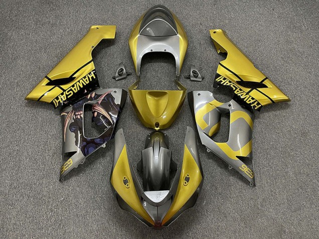 2005-2006 Gold and Silver Kawasaki ZX6R Fairings for Sale
